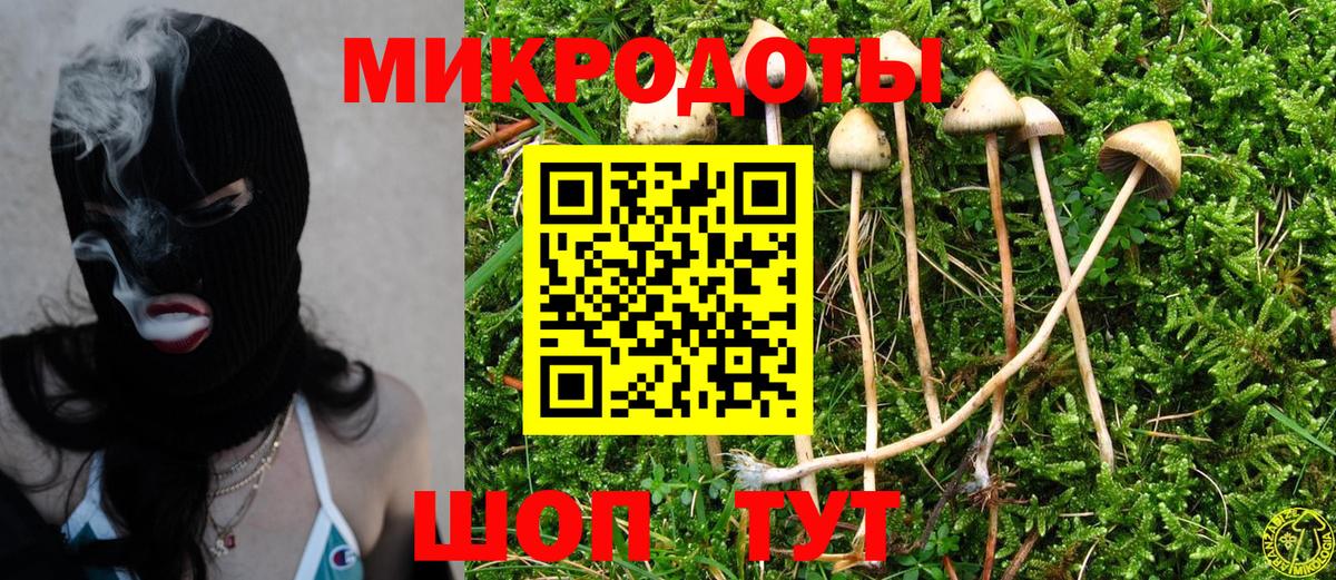 Миллерово  Галлюциногенные грибы GOLDEN TEACHER  купить закладку  Галлюциногенные грибы GOLDEN TEACHER  Вход с VPN 